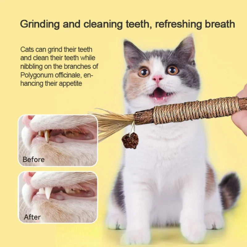 3-Pack Silvervine Chew Sticks for Cats – Teeth Grinding & Cleaning Toys with Raffia Grass