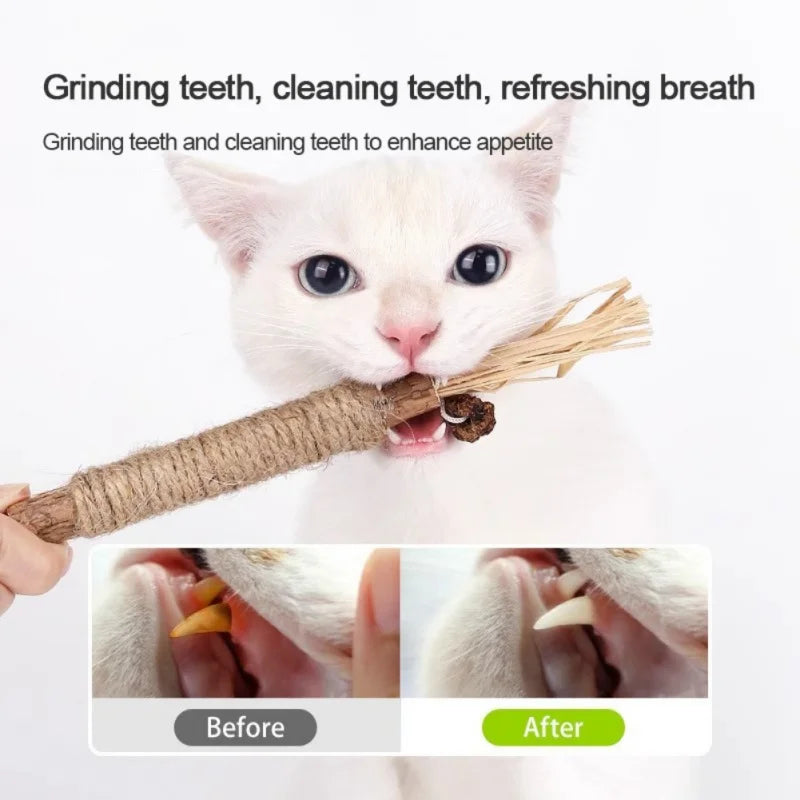 3-Pack Silvervine Chew Sticks for Cats – Teeth Grinding & Cleaning Toys with Raffia Grass